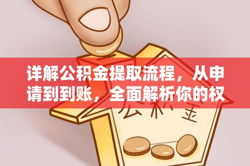 龙港详解公积金提取流程，从申请到到账，全面解析你的权益与操作步骤