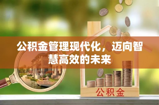 龙港公积金管理现代化，迈向智慧高效的未来