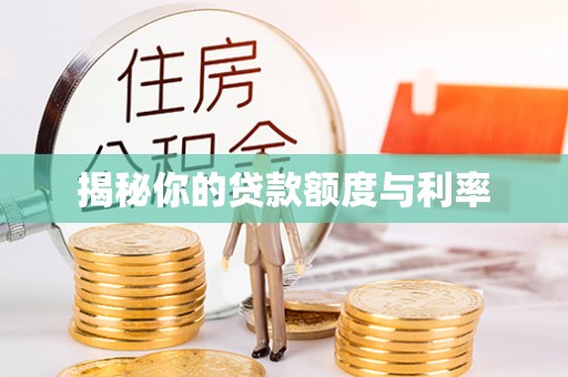 龙港揭秘你的贷款额度与利率