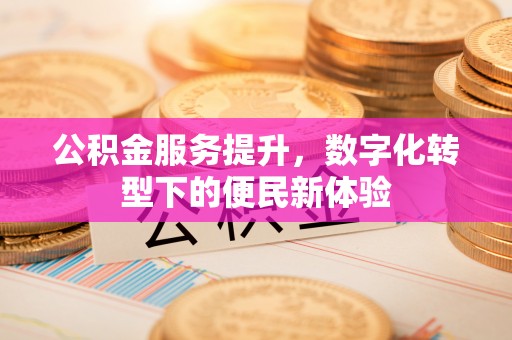 龙港公积金服务提升，数字化转型下的便民新体验
