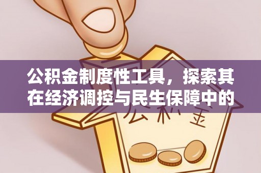 龙港公积金制度性工具，探索其在经济调控与民生保障中的重要作用
