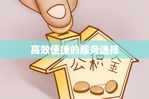 龙港高效便捷的服务选择
